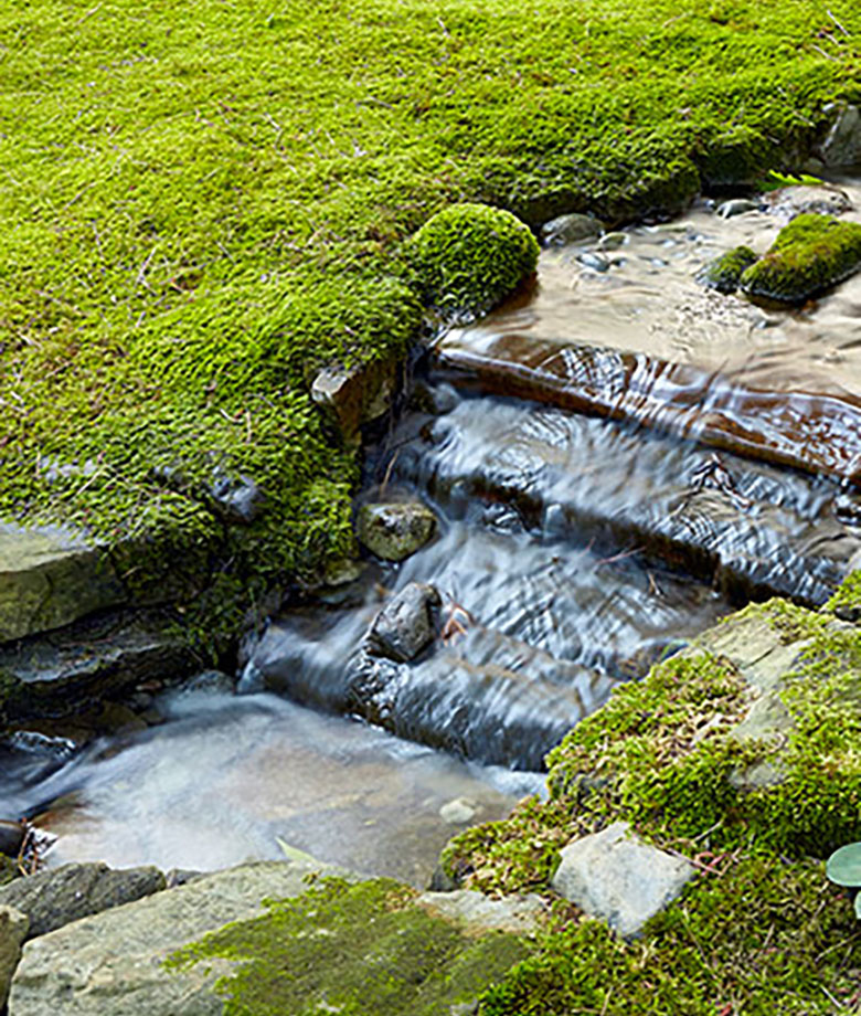 Moss-garden-water-feature2